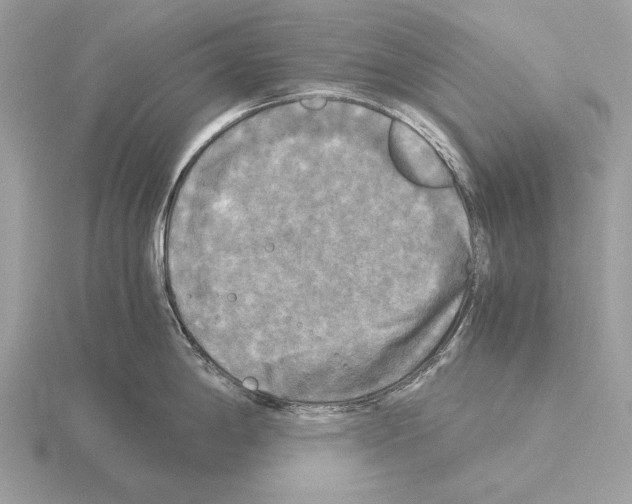 X0000115311198200912141130