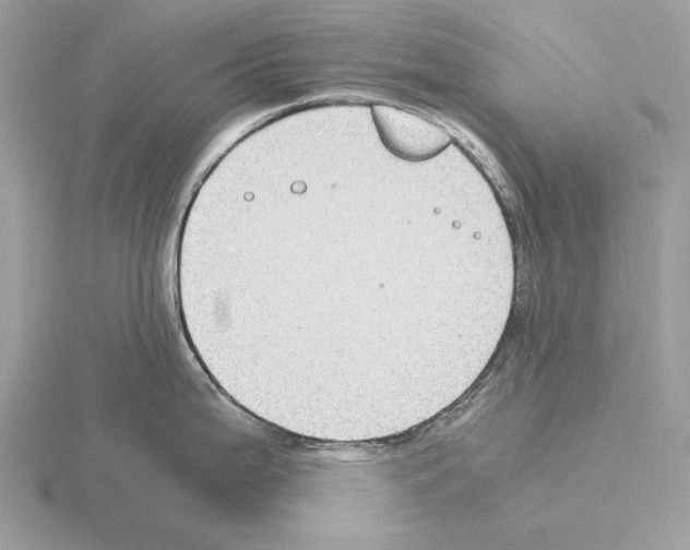 X0000115311199200912141130