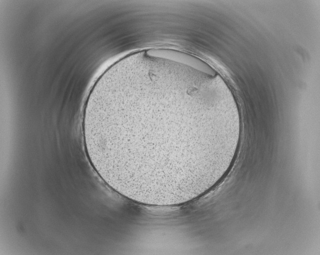 X0000115311200200912141130