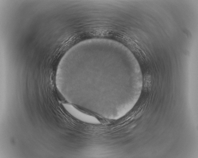 X0000115311202200912141130