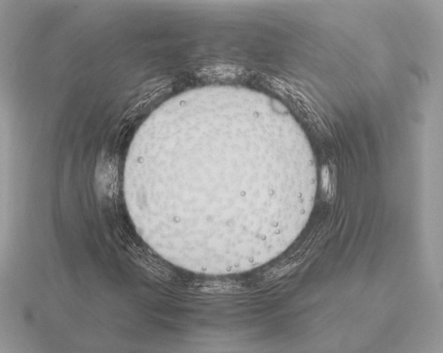 X0000115311203200912141130