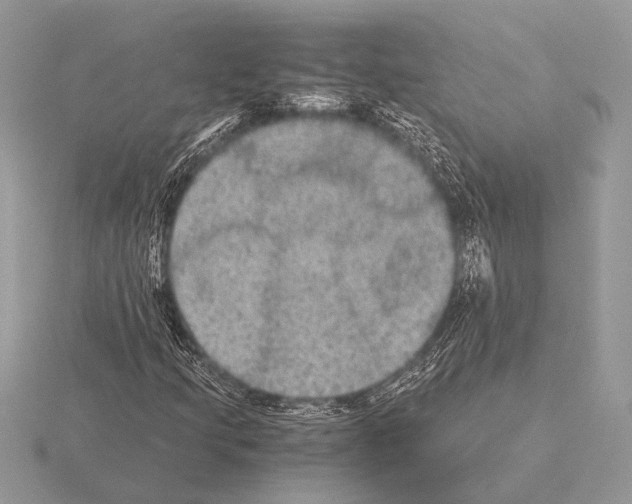 X0000115311205200912141130