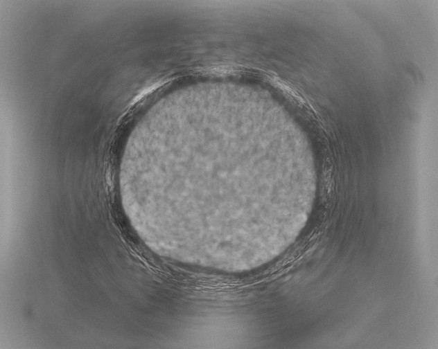 X0000115311206200912141130