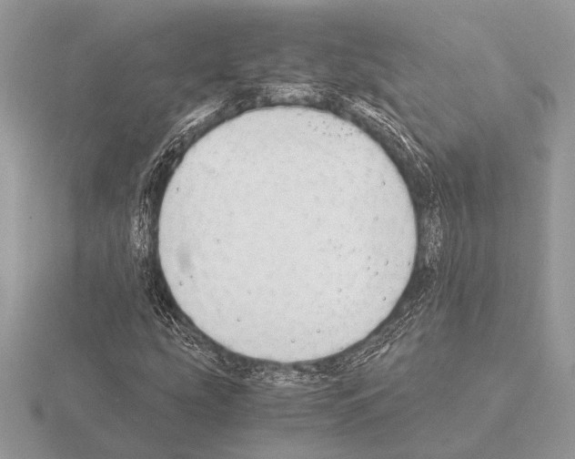 X0000115311207200912141130