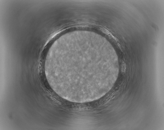 X0000115311208200912141130