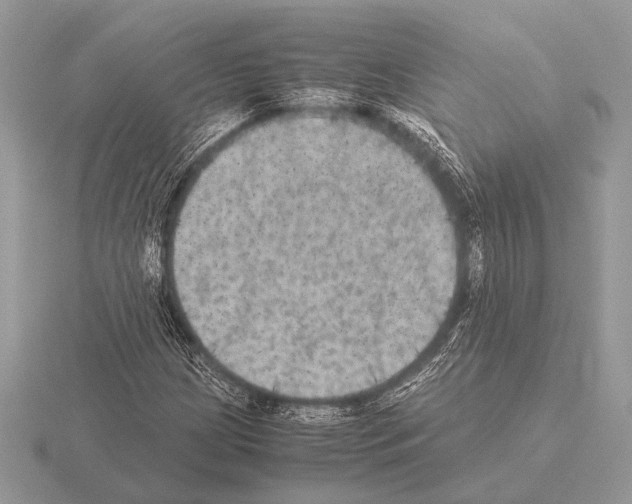 X0000115311209200912141130