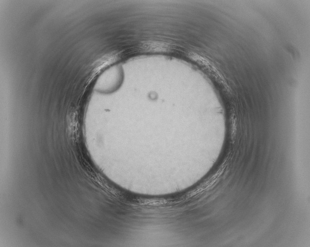 X0000115311210200912141130