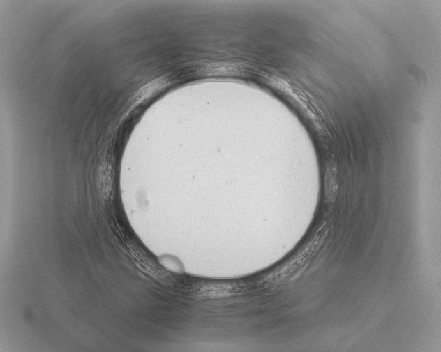 X0000115311211200912141130