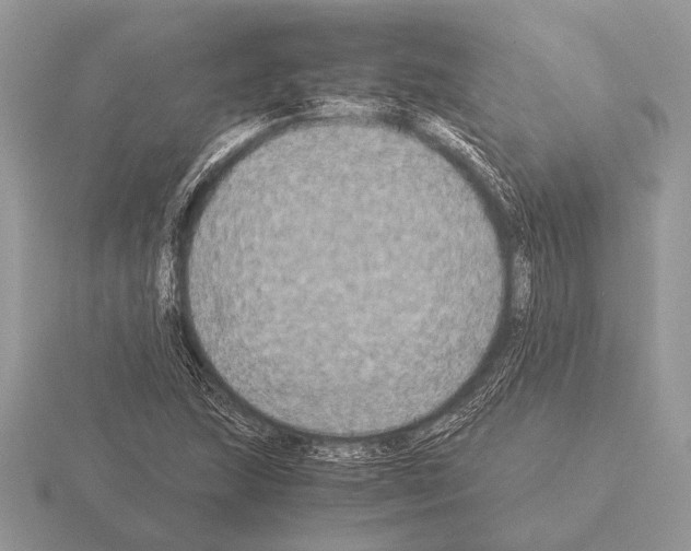 X0000115311215200912141130