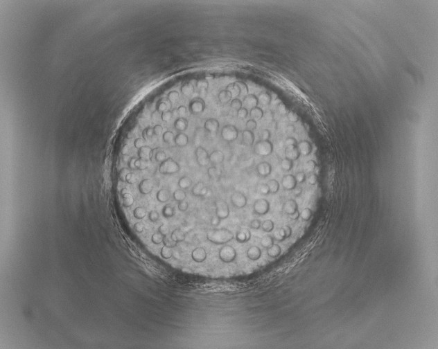 X0000115311216200912141130