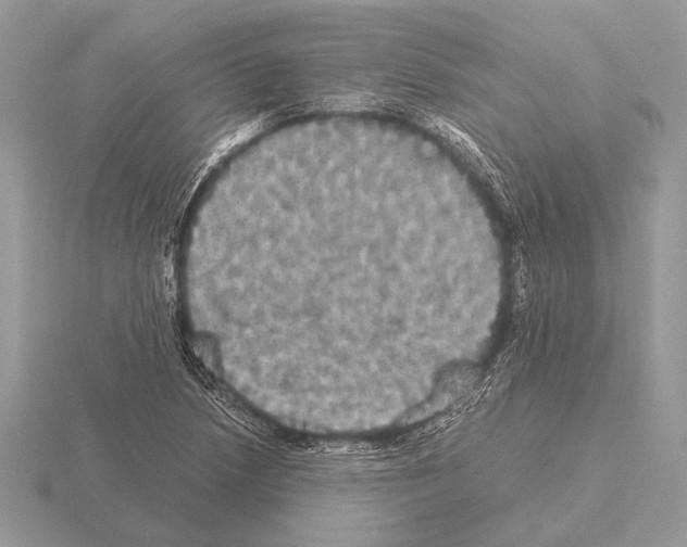 X0000115311218200912141130