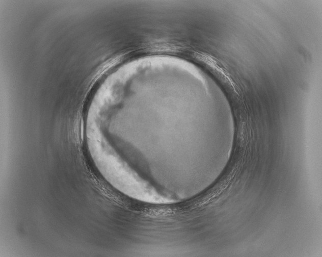 X0000115311221200912141130