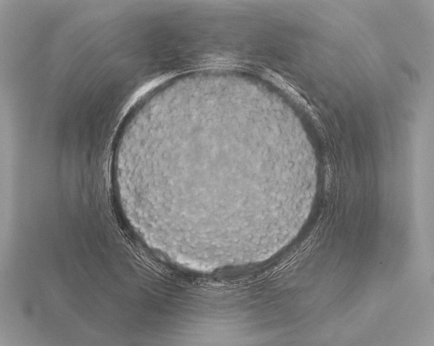 X0000115311222200912141130