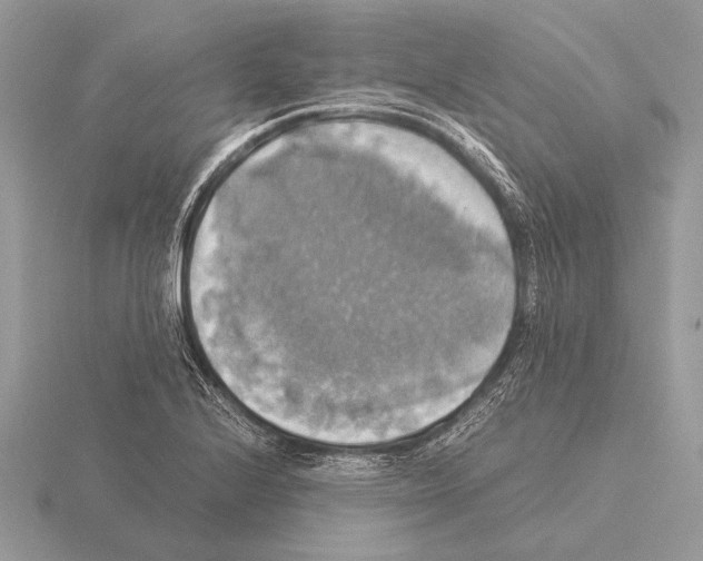 X0000115311224200912141130