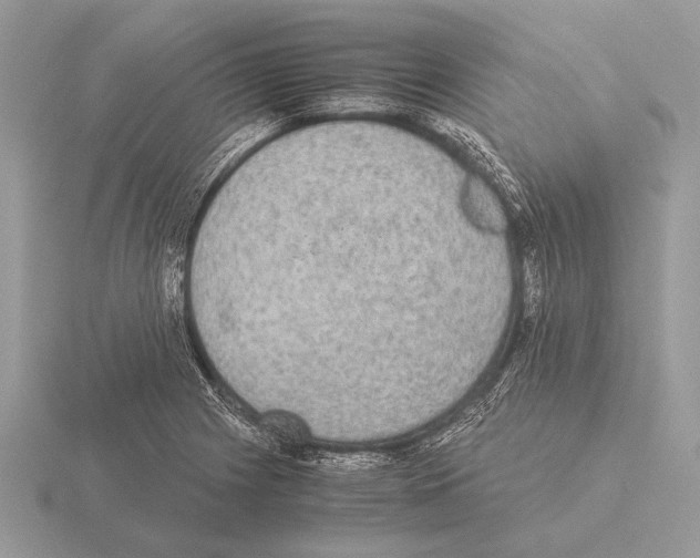 X0000115311225200912141130