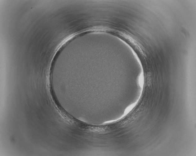 X0000115311229200912141130