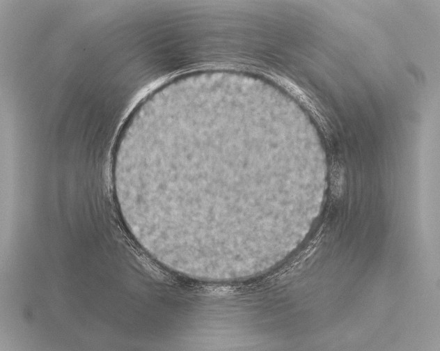 X0000115311230200912141130