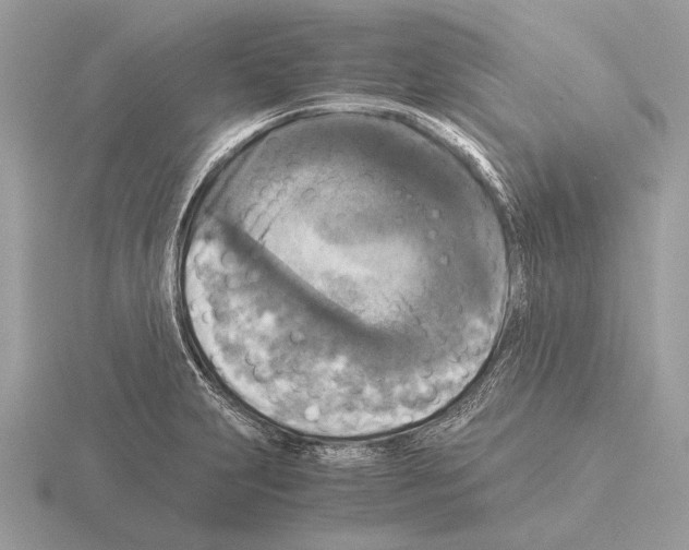 X0000115311231200912141130