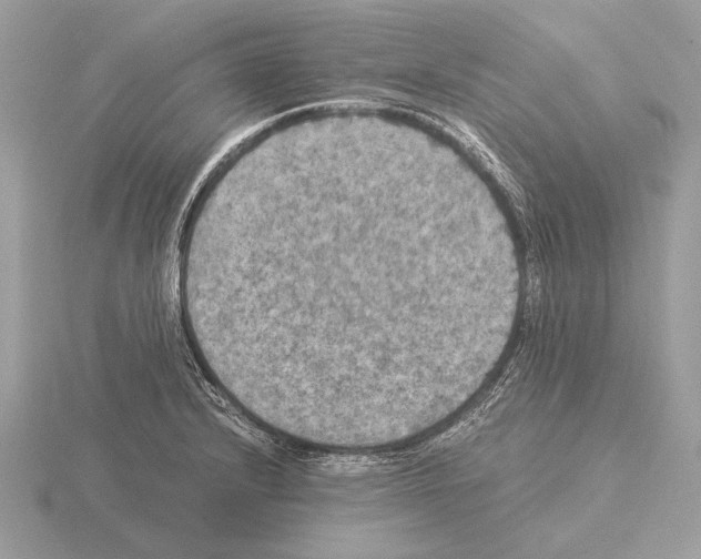 X0000115311232200912141130