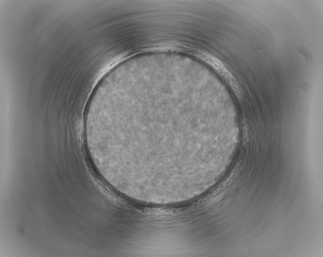 X0000115311234200912141130