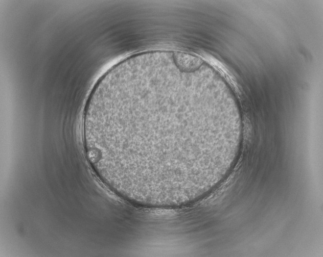 X0000115311238200912141130