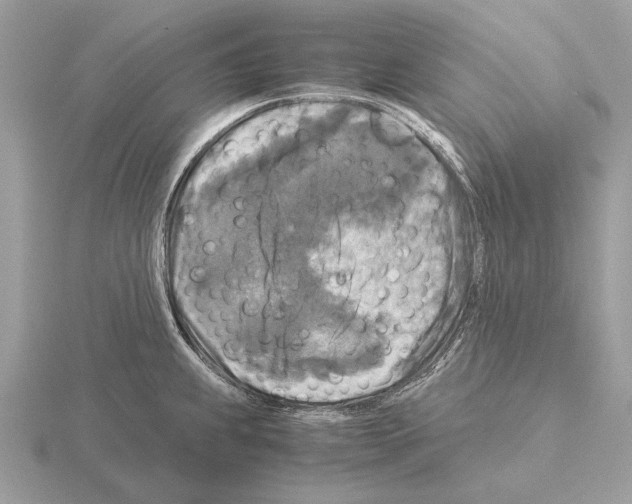 X0000115311239200912141130