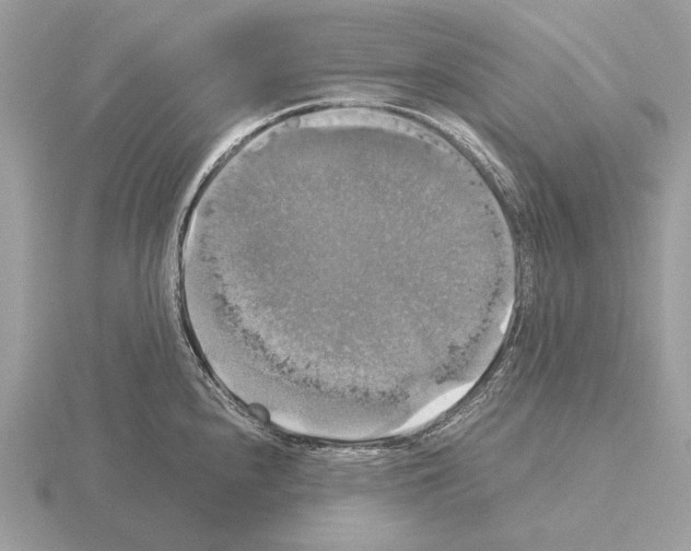 X0000115311240200912141130