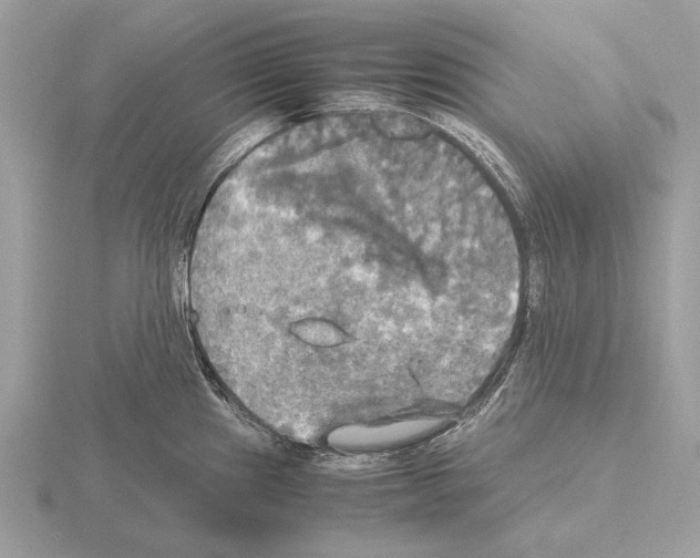 X0000115311241200912141130