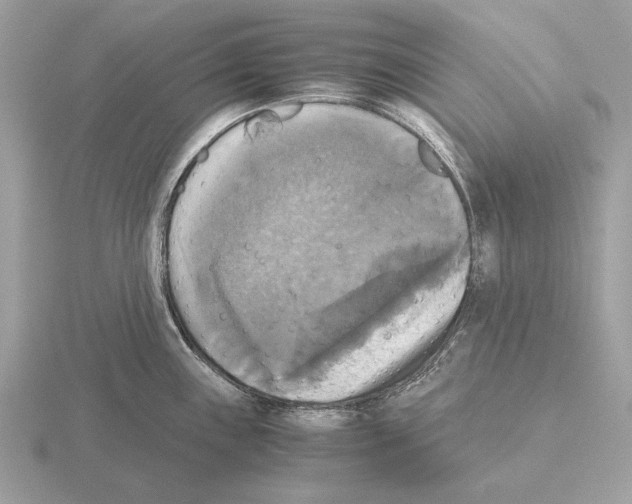 X0000115311243200912141130