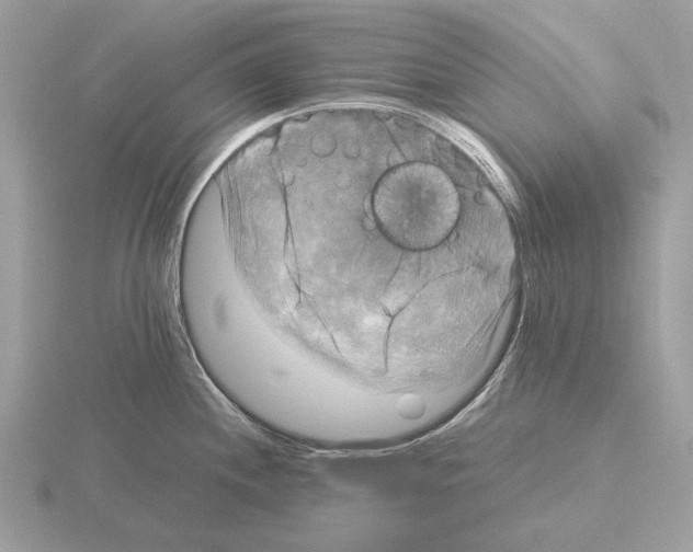 X0000115311244200912141130