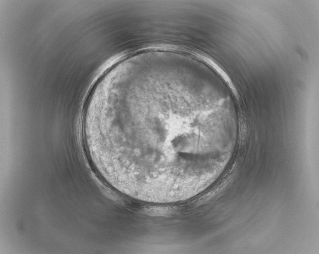 X0000115311245200912141130