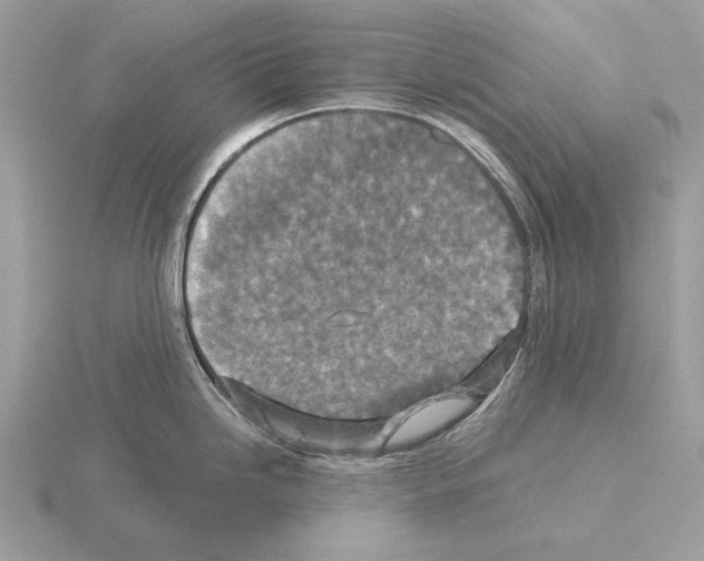 X0000115311246200912141130