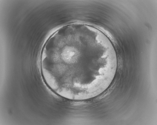 X0000115311247200912141130