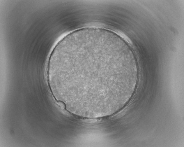 X0000115311248200912141130