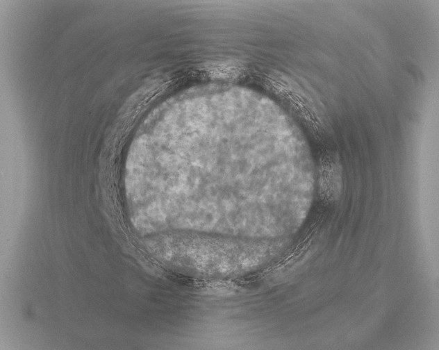 X0000115311249200912141130