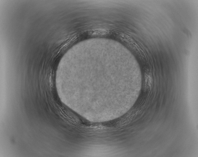 X0000115311250200912141130