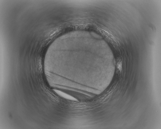 X0000115311252200912141130