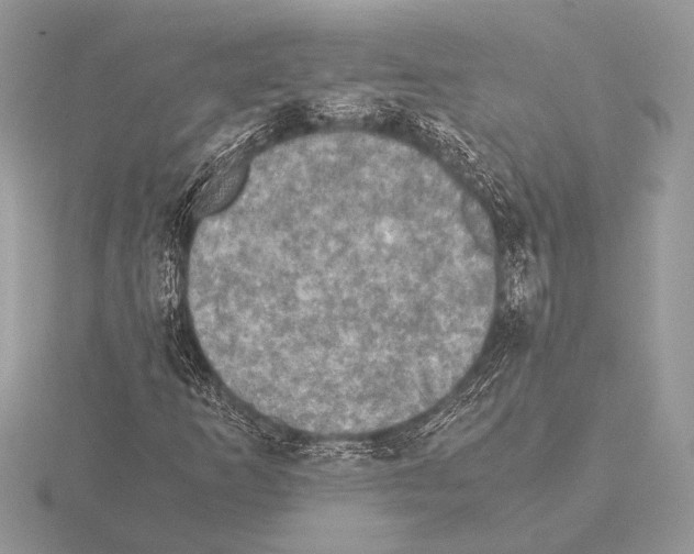 X0000115311253200912141130