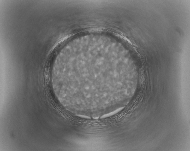 X0000115311255200912141130