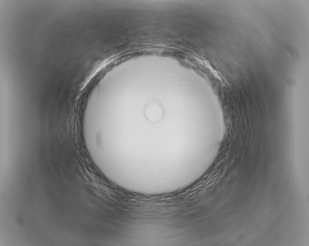 X0000115311256200912141130