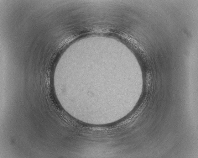 X0000115311257200912141130