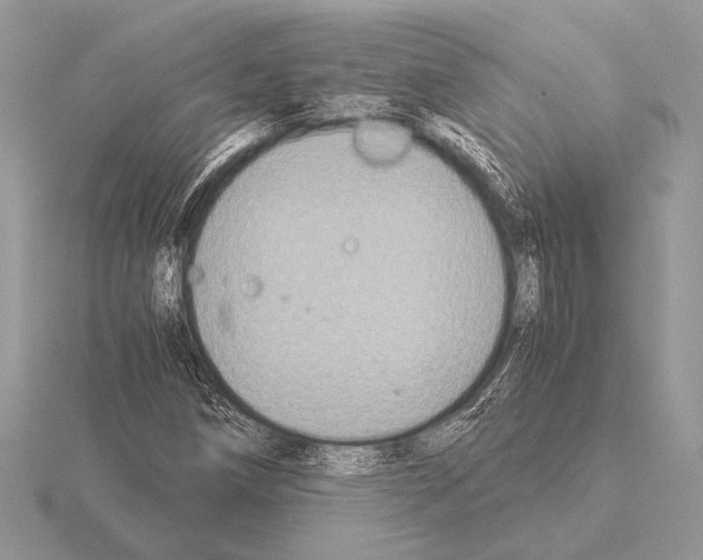 X0000115311258200912141130