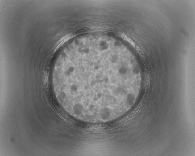 X0000115311259200912141130