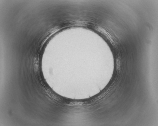 X0000115311260200912141130