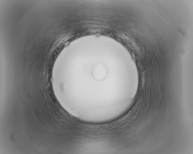 X0000115311261200912141130