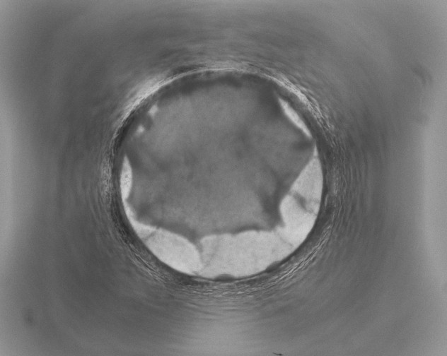 X0000115311263200912141130