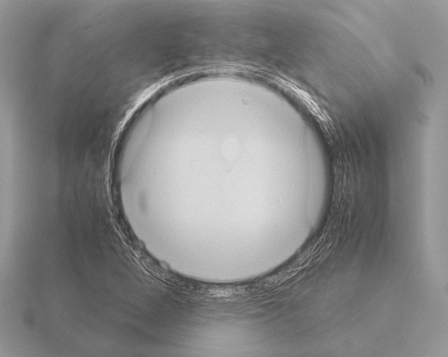 X0000115311264200912141130