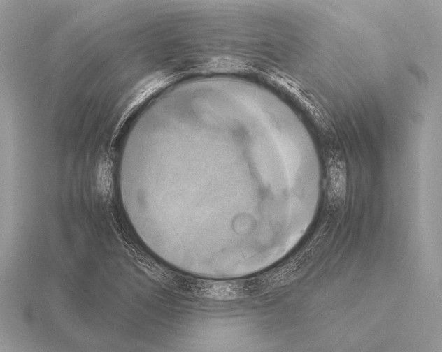 X0000115311266200912141130