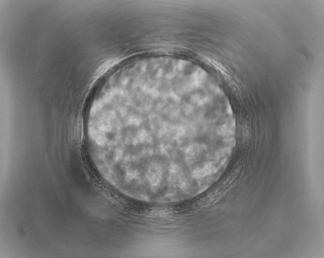 X0000115311267200912141130