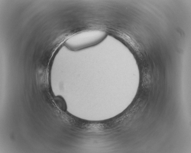 X0000115311268200912141130